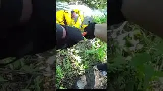 Good Samaritans rescue two from raging Menomonee River after attempting to save dog