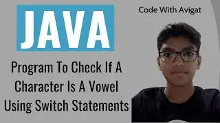Program To Check If A Character Is A Vowel Using Switch Statements | Java Tutorial