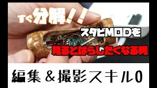 【MOD分解】撮影スキルも編集スキルも初心者の店長がALIENO MODを分解して軽く磨いてみた。