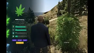 [FIVEM] Weed System (DebuX)