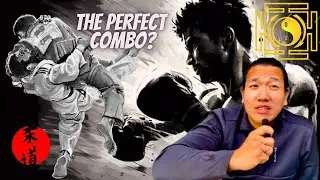 Judo/Boxing Vs MMA 4 Self-Defence?