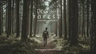 🌲 Deep in the Forest 🎻 Indie Folk Music for Nature Escapes