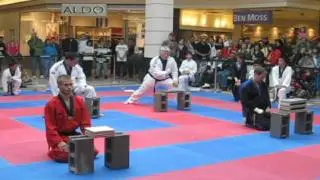 Master Seung TaeKwonDo Demonstration