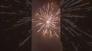 Trump returns 7&rdquo; canisters shells  firework