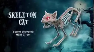 Ljudaktiverad Skelett Katt Dekoration