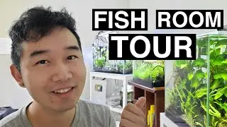 MY *NEW* FISH ROOM TOUR