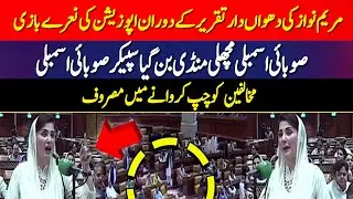 Maryam Nawaz Aggressive Speech At Punjab Assembly