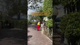 Double Trouble: Tweedle Dee and Tweedle Dum's Hilarious Disneyland Antics #disneyland #disneyparks