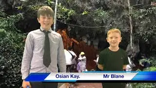 bwletin newyddion 2