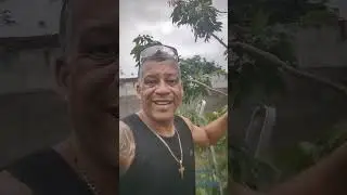 Poda, Lichia cuidados e dicas