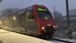 SNOWY MERRY CHRISTMAS! A Journey through Winter Weather with a SBB Re450 from Winterthur to Balsberg
