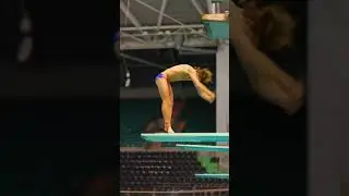 Sam Fricker Diving 407c