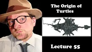 Lecture 55 The Origin of Turtles