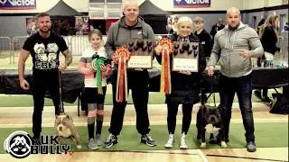 IBKC IRELAND BULLY SHOW (NOV 2017) AMERICAN BULLY