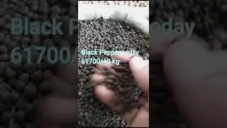 #Black Pepper price today#bestmasalajaat #blackpepper