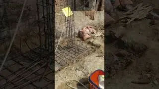 Column Layout Check 99311 85505 Guddu G Patory Samastipur Bihar. Supervision
