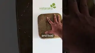 Eco-friendly Leaf Packaging for Biryani #healthyfood #farming #ecofriendlysolutions
