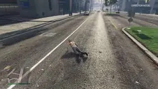 GTA 5 - Director Mode