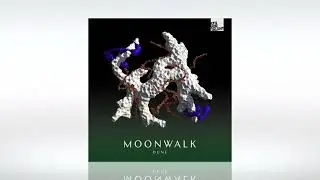 Moonwalk - Dune (Original Mix) | Stil Vor Talent | Track of the Day (16/09/2022)