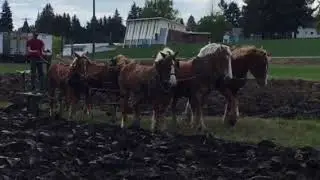 Fairfield plowing May 2018