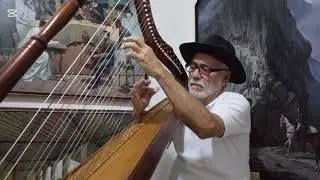 A LO LLANERO.  Guitarra m&iacute;a.  Arpa, JOS&Eacute; VARGAS SANQUIS.