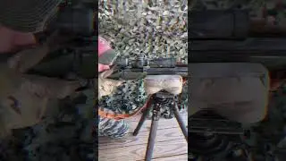 M40A1 Sniper Rifle in Action!