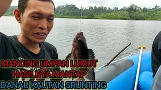 Mancing mania || Mancing Menggunakan Umpan Lumut || Danau Kautan Srunting || Aswan Maniaa