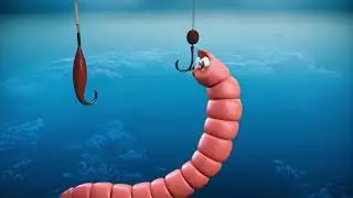 How Do You Catch Big Fish?