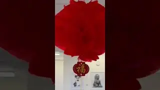 #kungheifatchoi #yearoftherabbit2023 #happychinesenewyear2023 #yearoftherabbit