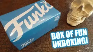 Funko BOX OF FUN 2021 Unboxing