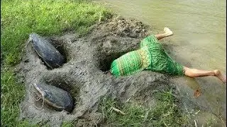 Survival skills - Dig deep hole to build fish trap catch catfish - Cooking delicious fish