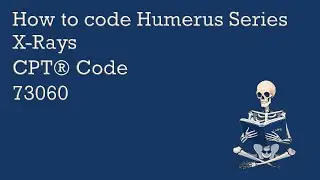 Humerus X-Ray Coding | CPT&reg; 73060 | Radiology Protocols + ICD-10 Strategy