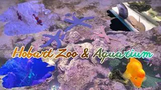 Exploring Hobart Zoo & Aquarium 🐟🐠 | Tasmania | Family Day Out Vlog | KOUSHIK AND ALEKHYA 😍🧿 |