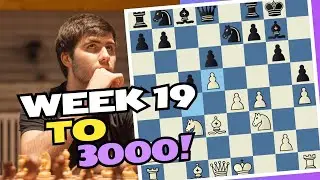 Pecking the hippo with Bird's Opening | Week 19 to 3000