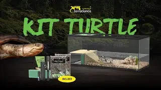 Unboxing KIT TURTLE - Terratlantis Terrarium (by Aquatlantis)