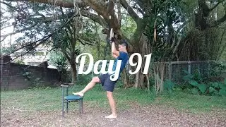 Day 91 - Training Calisthenics: Jackknife Pullups, Bodyweight Rows, Squats, Loaded carries