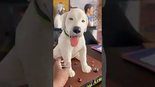 Best gift in memory of pet dogs🐶 #shorts #shortsfeed #youtubeshorts #shortvideo #pets #dog #3d
