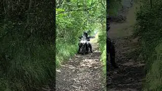Adventure bike green laning FAIL 🤣🤣 #tiger800 #triumphtiger #fail #offroadcrash #crash #gone wrong