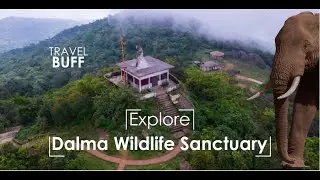 Explore Dalma Wildlife Sanctuary