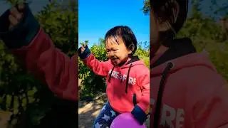 Chunni main chunni main new song 2023 last song #shorts #2023last #viral #chunni #main #shortvideo