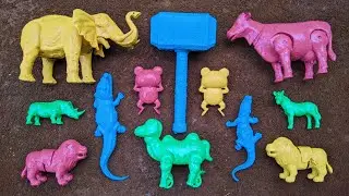 Cleaning Animals Elephant Rhino Lion Cow Crocodile Frog Horse Palu Thor