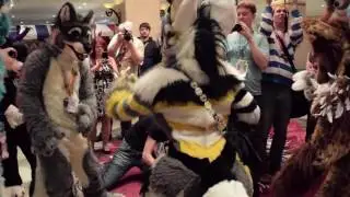 Beauty of the Bass at Confuzzled 2016 (full, HD)