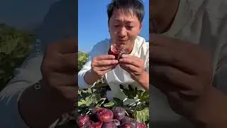 China: King of Fruits 😳 | The Most Unique Fruits in the World 😱 #shorts #reel #chinafood