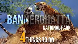 A Day at Karnataka’s Famous Zoo | Ticket Price and Timing