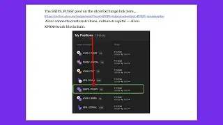 Meme Token Spotlight | Snips Pussy Meme Coin Alcor Exchange Liquidity Pools XPR Network Blockchain
