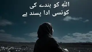What kind of reward does Allah like from a servant?