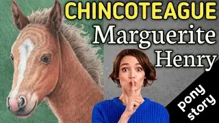 Misty of Chincoteague: The True Story of a Wild Pony #pony #HorseHistory #MistyOfChincoteague 