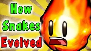 Evolution Of The FIRE SNAKE (1988-2017)