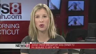 Judge awards girl more than $200K in dog biting case