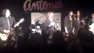 Susan Cowsill, the Watson Twins, Andy Hummel sing 